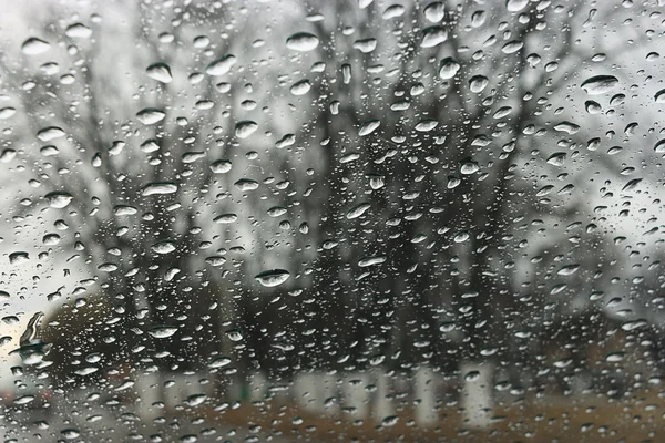 Eső cseppek — Stock Fotó