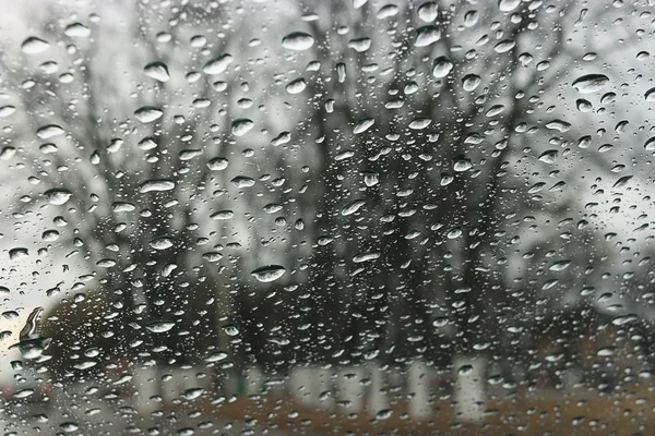 Gotas de lluvia — Foto de Stock