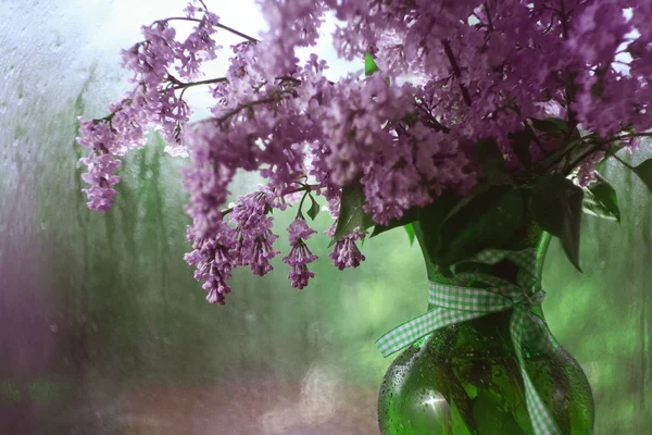 Lilac in a vase — Stock Photo, Image