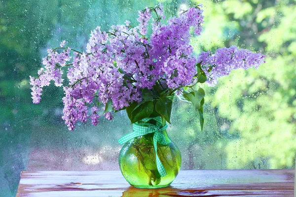 Lila a vázában — Stock Fotó