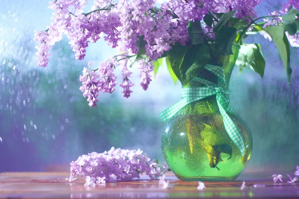 花瓶のライラック — ストック写真