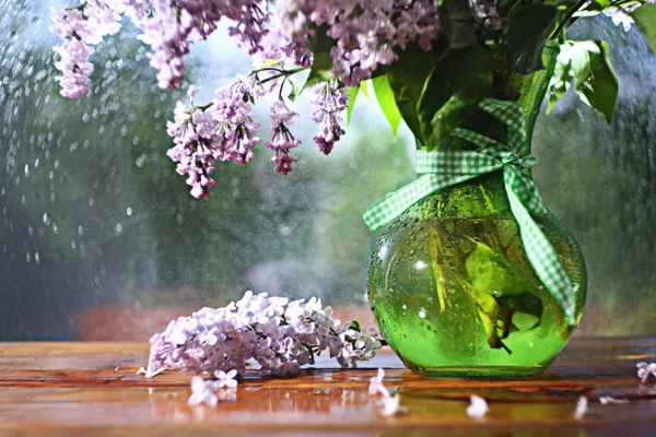 Lilac in a vase — Stock Photo, Image