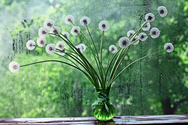 Dandelion — Stock Photo, Image