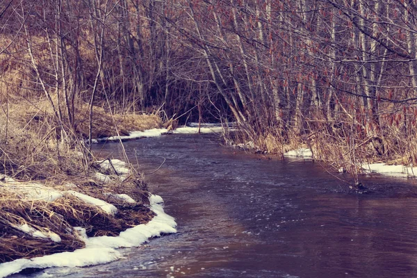 Spring creek — Zdjęcie stockowe
