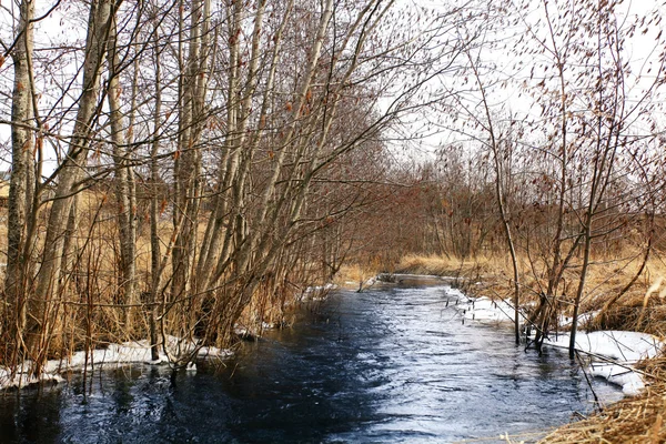 Spring creek — Stockfoto