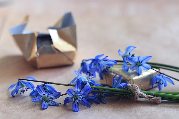 Flowers with chocolate — Stock Photo, Image