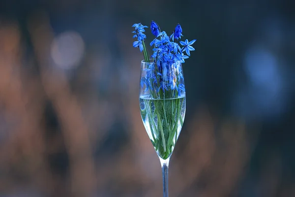 Modrá jarní kytice — Stock fotografie