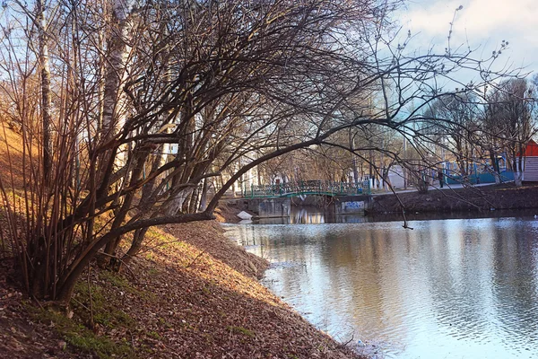 Park met vijver — Stockfoto