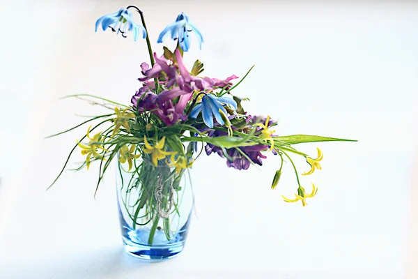 Small spring bouquet — Stock Photo, Image