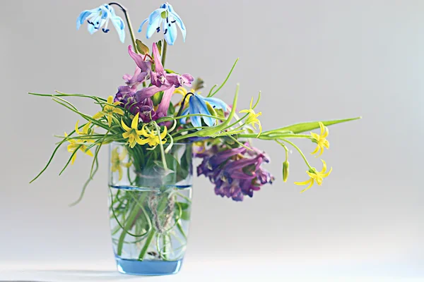 Small spring bouquet — Stock Photo, Image