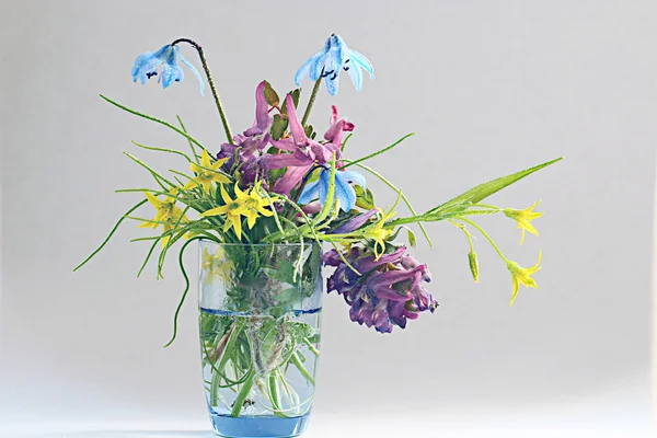 Small spring bouquet — Stock Photo, Image