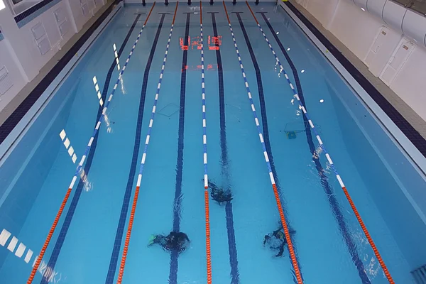 Tuffatore in piscina — Foto Stock