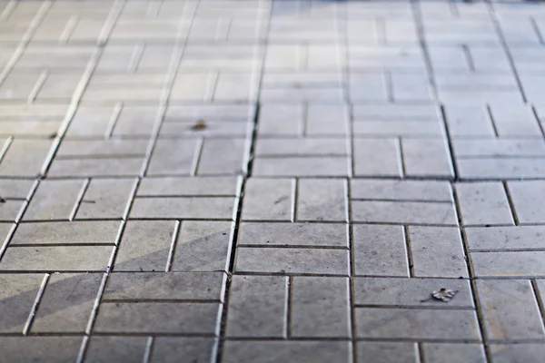 Grey flagstones — Stock Photo, Image