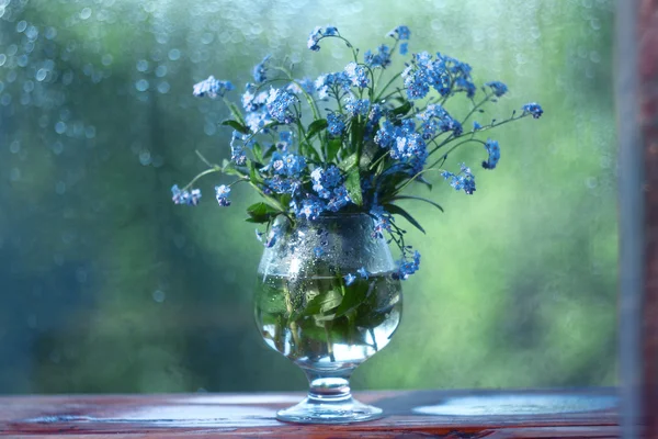 ワスレナグサ写真素材 ロイヤリティフリーワスレナグサ画像 Depositphotos