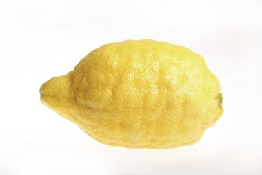 sarı limon