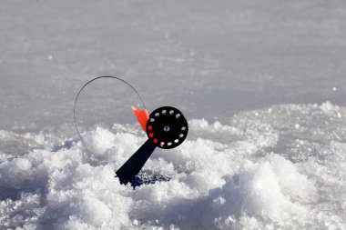 Kış balıkçılık için yem