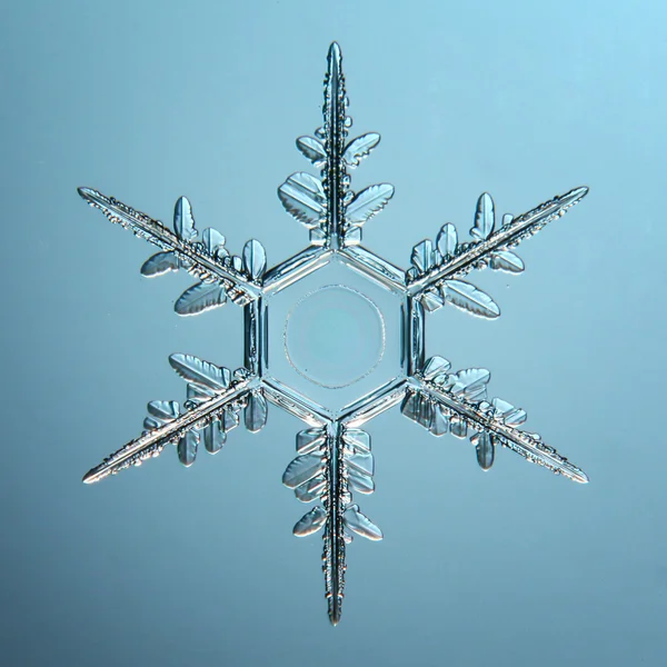 自然雪の結晶 — ストック写真