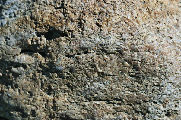 Textura de granito — Foto de Stock