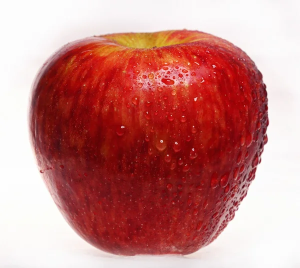 Manzana roja — Foto de Stock