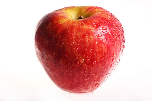 Manzana roja — Foto de Stock