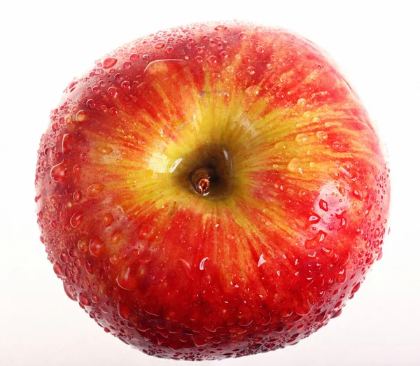 Manzana roja — Foto de Stock