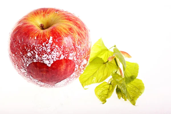 Manzana roja — Foto de Stock