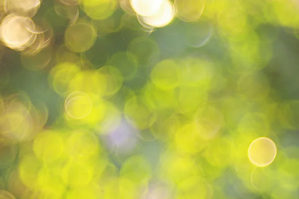 Lato zielone tło — Zdjęcie stockowe