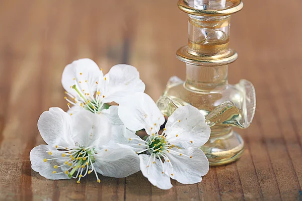 Covenants cherry fragrance perfume — Stock Photo, Image