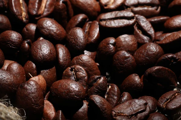 Arabica coffee beans texture — Stock Photo, Image