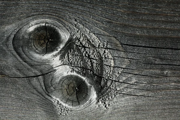 Gray knotty wood texture — Stock Photo, Image