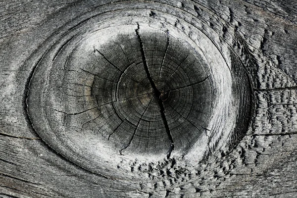 Gray knotty wood texture — Stock Photo, Image