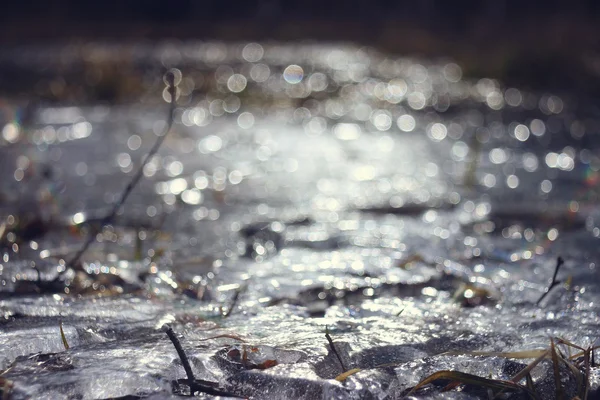 Branches without leaves and spring reflections river — Stock Photo, Image