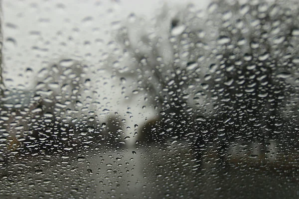 Rain drops — Stock Photo, Image