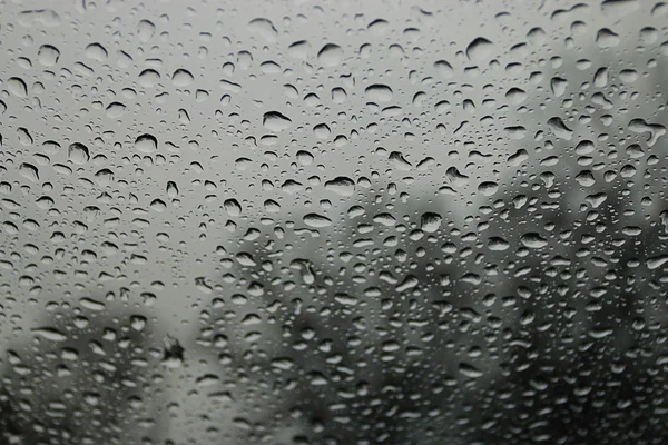 Tetes hujan — Stok Foto