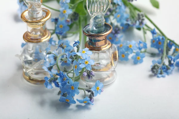 Forget-me-on glass, wet — Stock Photo, Image
