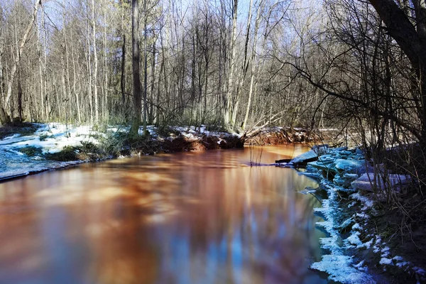 Spring creek — Zdjęcie stockowe
