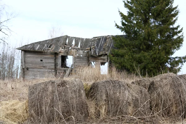 Altes zerstörtes Holzhaus — Stockfoto