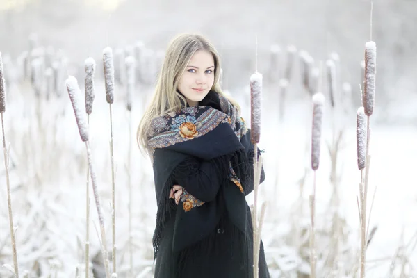 Blond kvinde med traditionelt sjal - Stock-foto