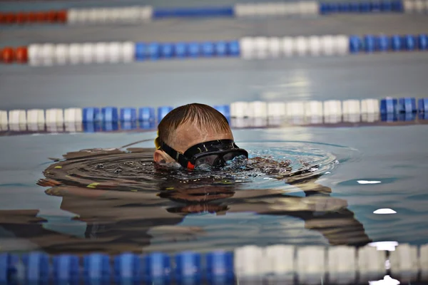 Mergulhador na piscina — Fotografia de Stock
