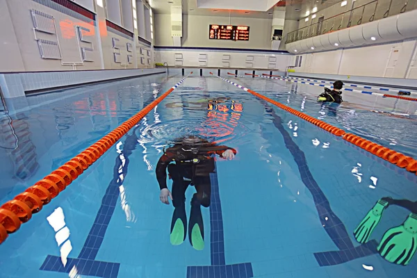 Diver in pool — Stock Photo, Image