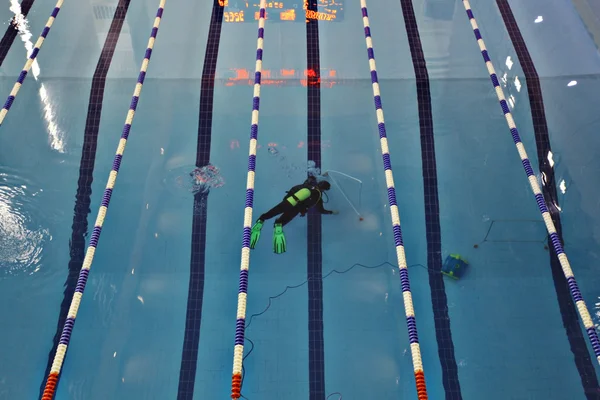 Diver in pool — Stock Photo, Image