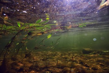 Güneş ışınları suyun altında, deniz manzarası tatlı su nehri dalışı