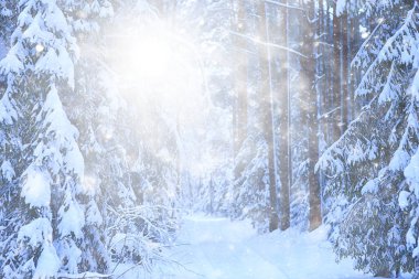 Kış arkaplan karları soyut beyaz bulanık