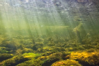 Güneş ışınları suyun altında, deniz manzarası tatlı su nehri dalışı