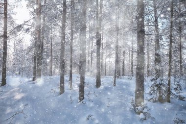 donuk arkaplan ile kaplı dallar soyut kış aralık görünümü