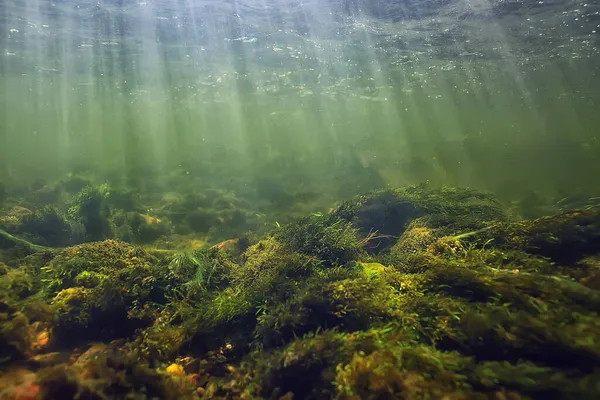 Zonnestralen Onder Water Landschap Zeegezicht Zoet Water Rivierduiken — Stockfoto