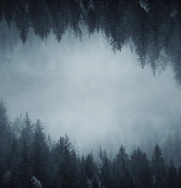 Autunno Nebbia Paesaggio Foresta Montagne Alberi Vista Nebbia — Foto Stock
