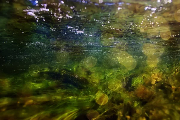 green algae underwater in the river landscape riverscape, ecology nature