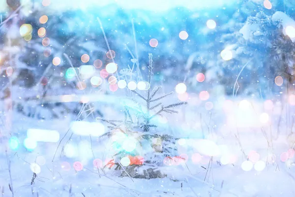 Abstract Winter Achtergrond Bokeh Lichten Kerst — Stockfoto