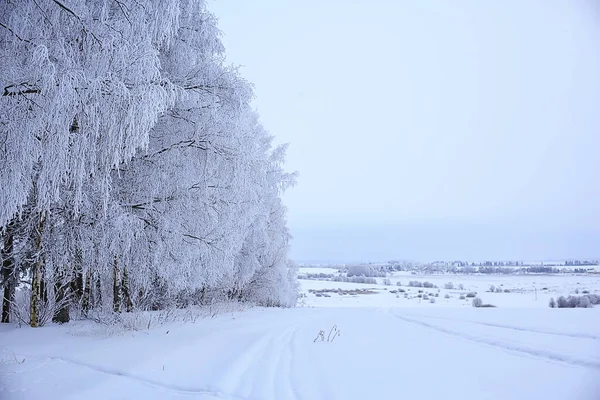 Winterlandschap Bomen Bedekt Met Rietvorst — Stockfoto